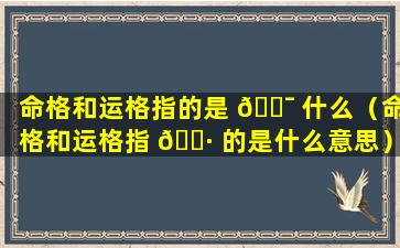 命格和运格指的是 🐯 什么（命格和运格指 🌷 的是什么意思）